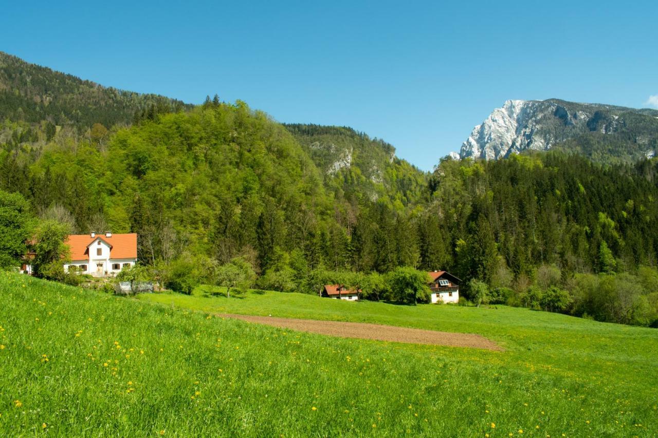 Вилла Turisticna Kmetija Stoglej Luce Экстерьер фото